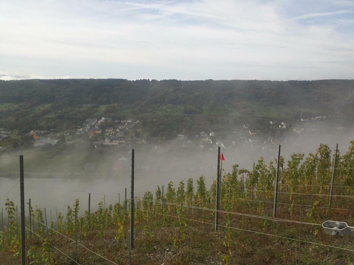 Ferienwohnung-Vinothek Keifer Kinheim Exteriör bild